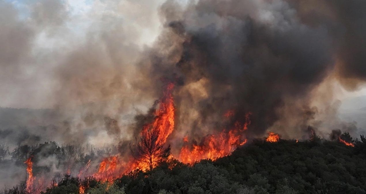 edirne ipsalada aniz yangini agaclik alana sicradi WN7IUp5D