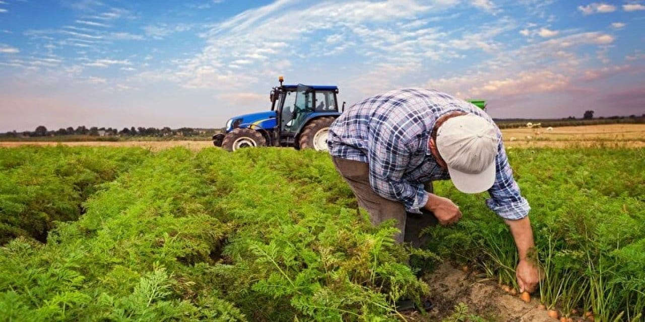 son dakika ciftcinin enflasyonunda dev artis Tzr6hGMt