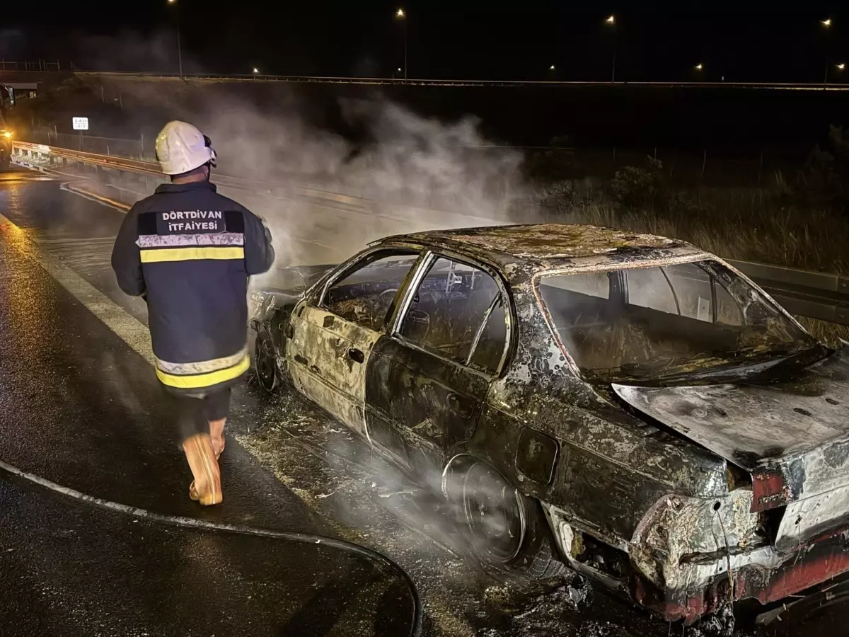 boluda seyir halindeki otomobil alev aldi VCdDtwaU.jpg