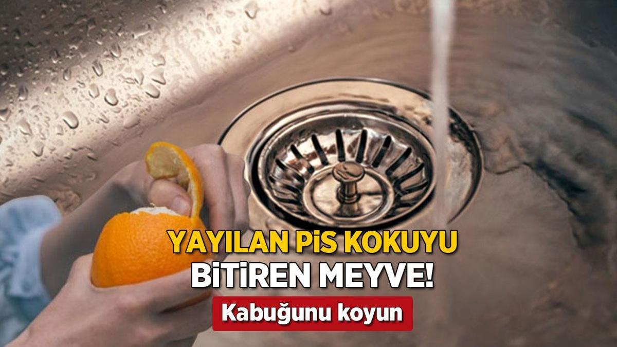 cope atmak yerine lavabonun icine birakin portakal tum pis havayi yutuyor LpNYHG2K.jpg